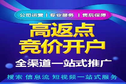 成功案例：网站sem托管如何影响销售数据